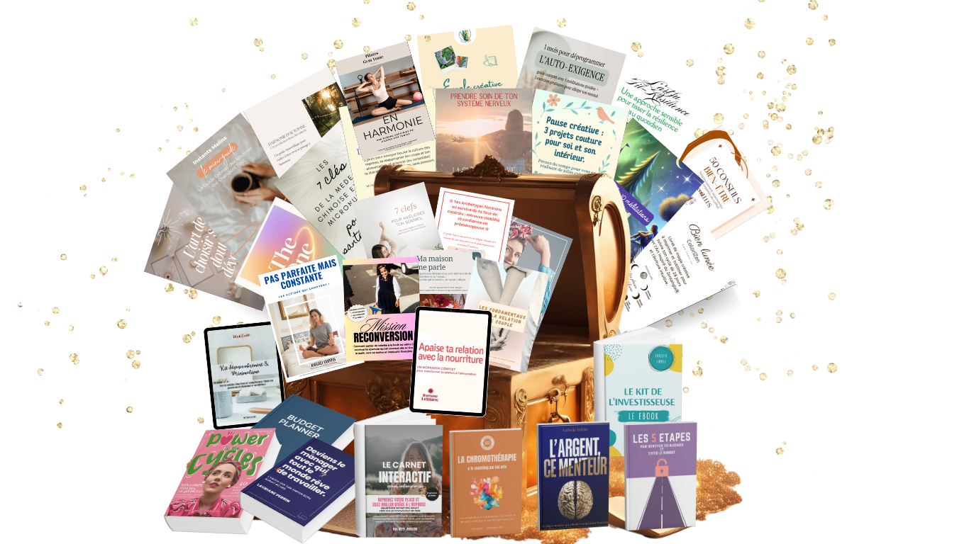 Illustration coffret page de vente ESS 2